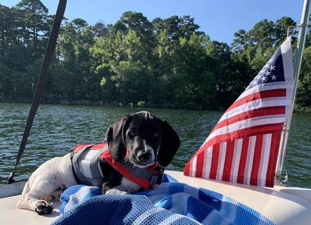 Murphy
