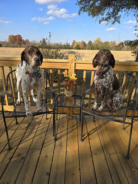 Dixie Lou & Bella Rose