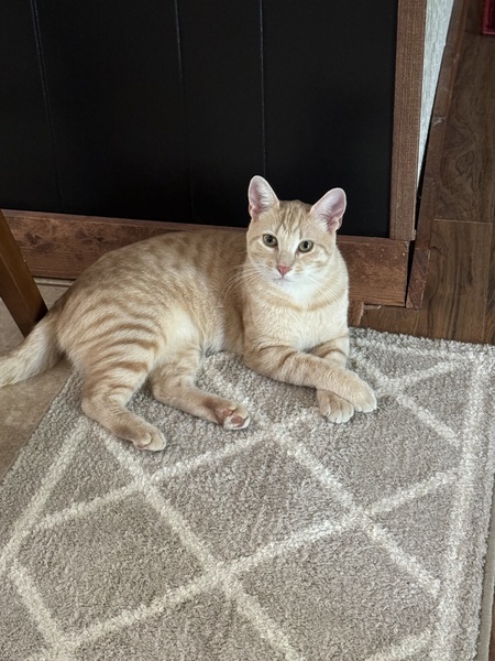 Peanut