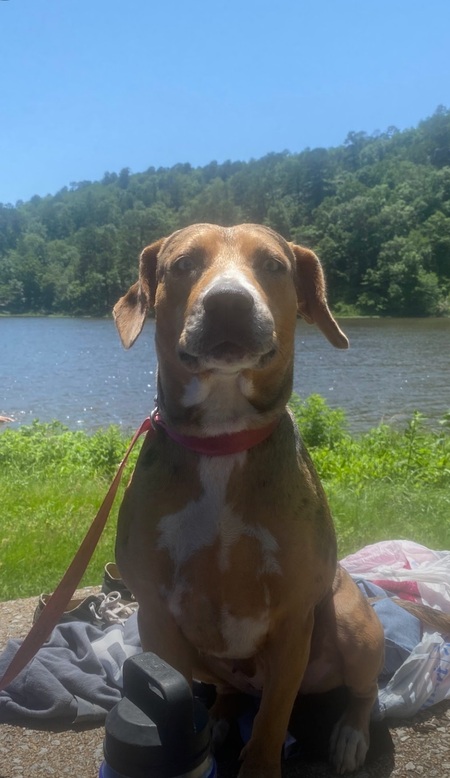 Snookie