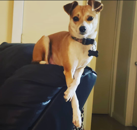 Taco