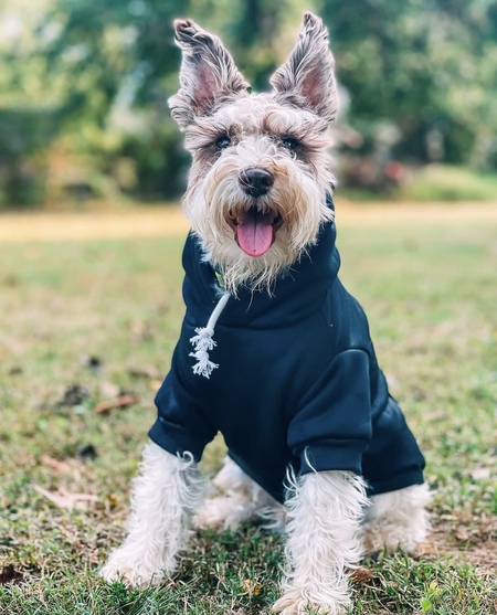 Bo