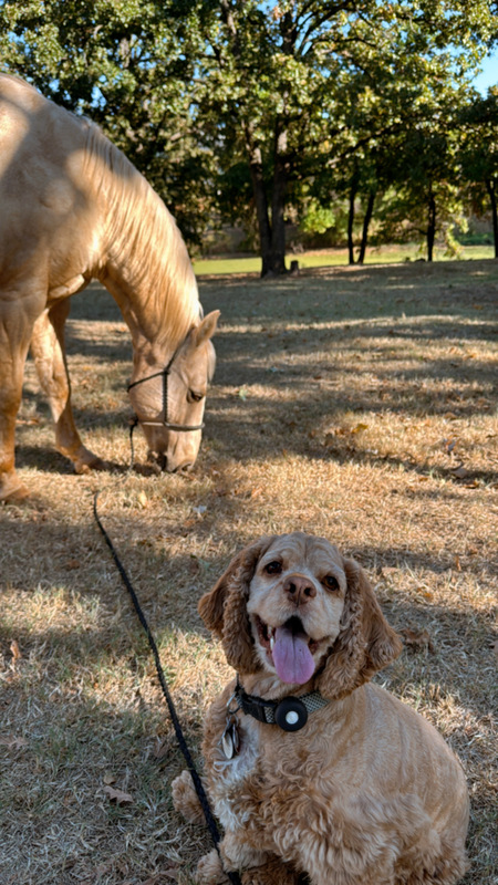 Tucker & Bueno