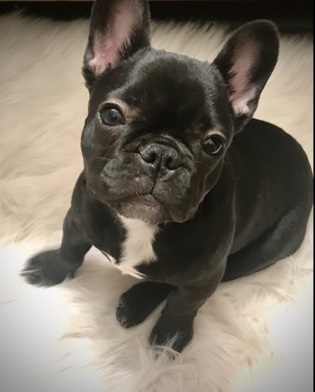 Bella
