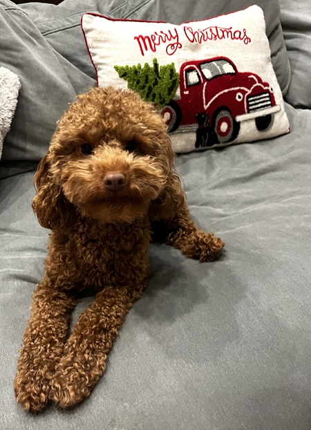 Peanut