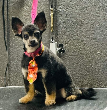 Baby Boop