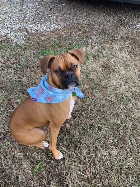 Daisy Mae
