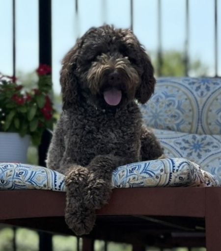 Coco