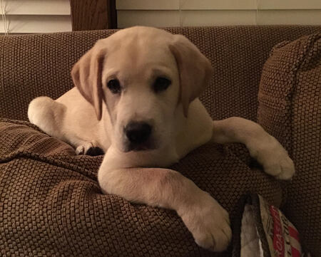 Captain Olivia Benson (Bennie)