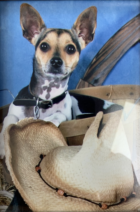 Maggie
