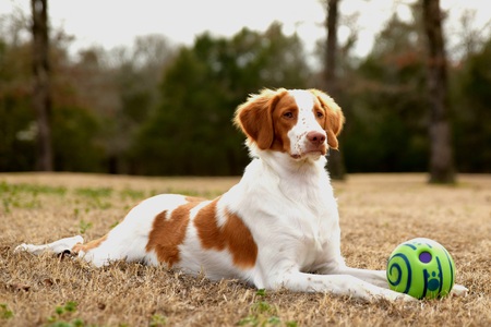 Tucker