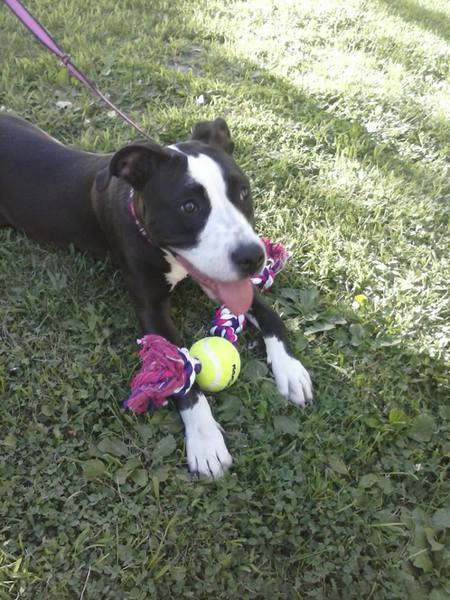 Roxie Jane