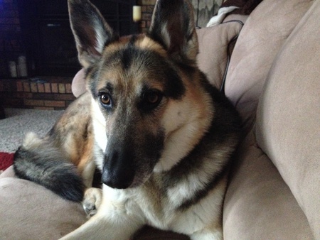 Sammy