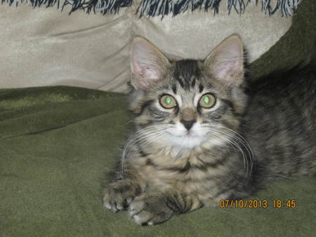 Lilly