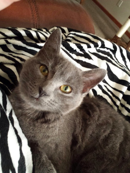 Maggie