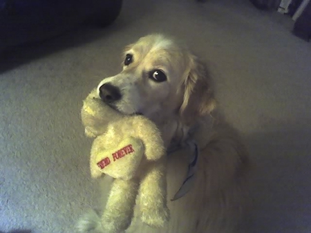 Gordy Mella