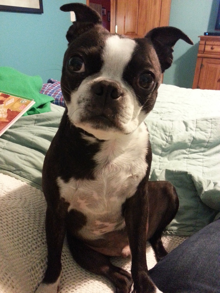Spike