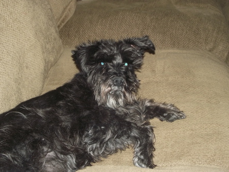 Ella