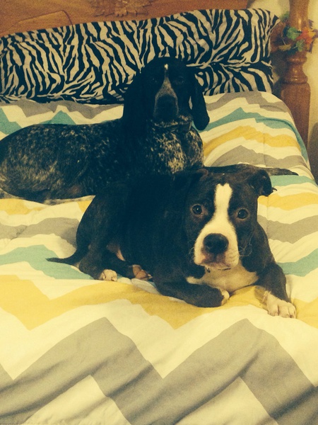 Delilah & Gunner
