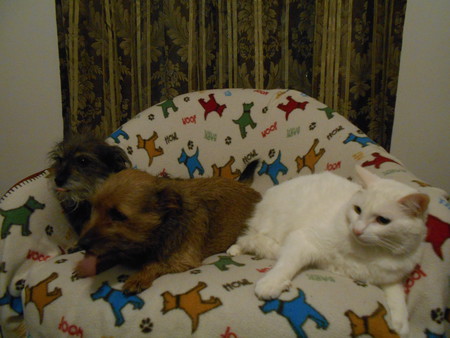 libby,lulu, lillith
