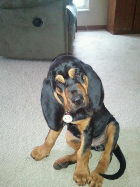 Penny