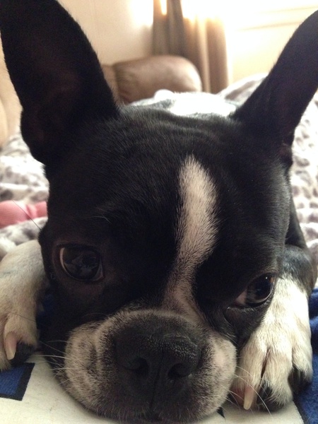 Maggie