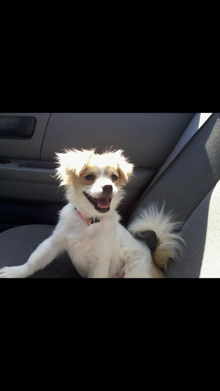 Daisy Duke 