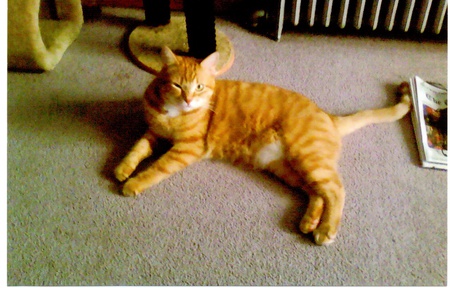 Tigger