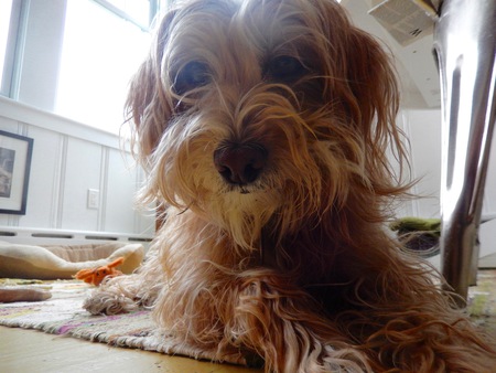 Charley