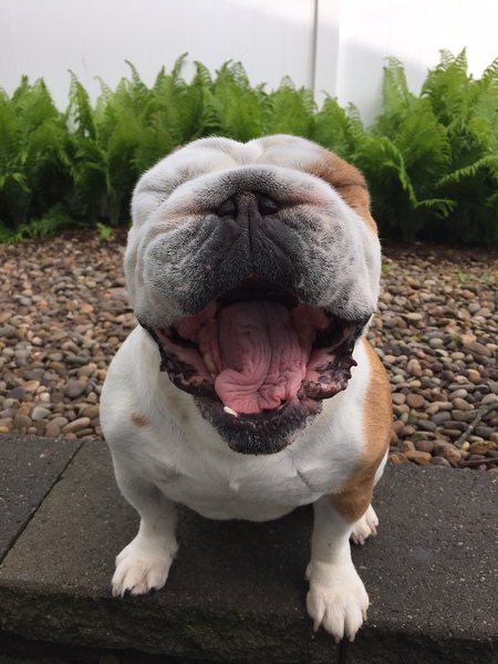 Rumour having a good laugh!