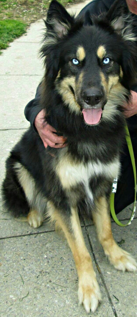 Jax