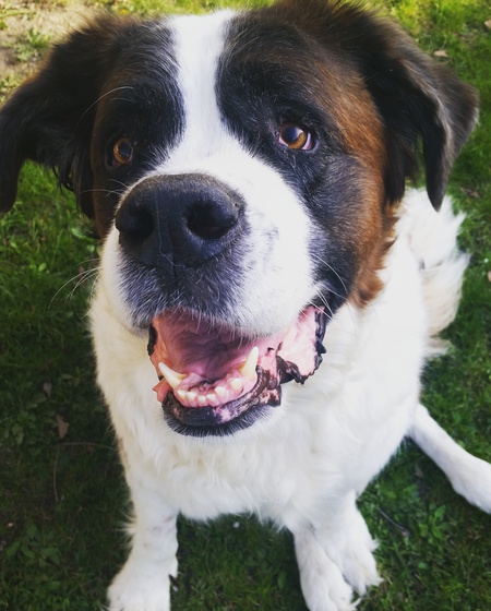 Zeus 