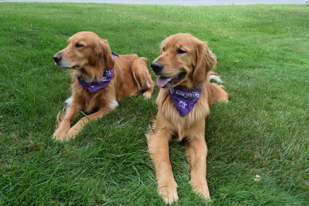 AJ and Sadie