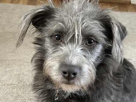 Parker