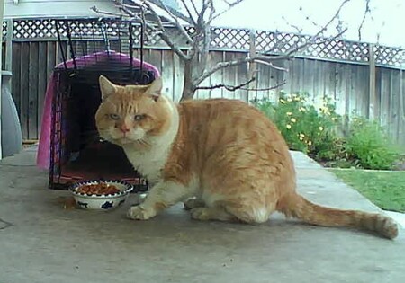 Big Mac (Grumpy man)