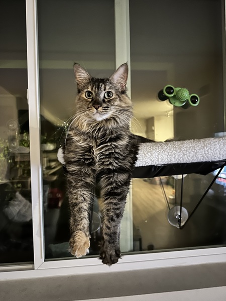 Luna Rita