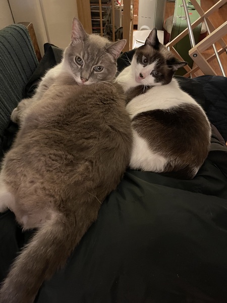 Nick and Bella