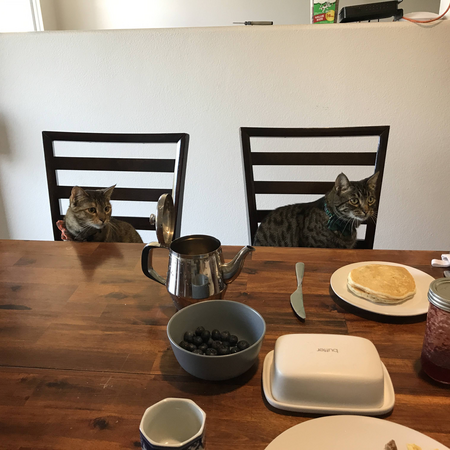 Pumpkin and Curry