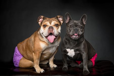 Vanya and Lola
