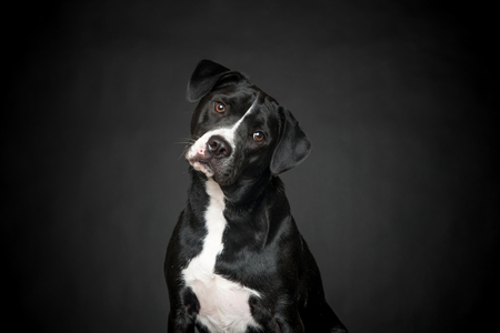 Kona