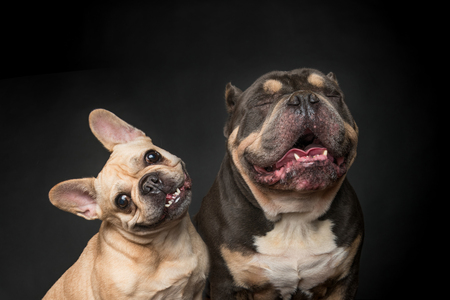 Lola and Pablo
