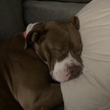 Entry image for Lucy