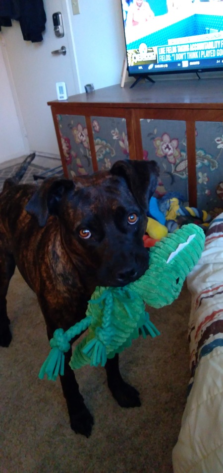 Ellie Mae 