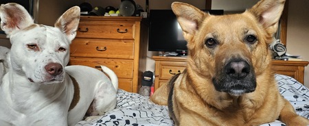 Frankie & Charlie