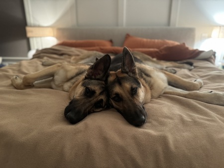 Rosie (left)