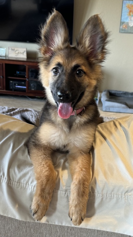 Bailey