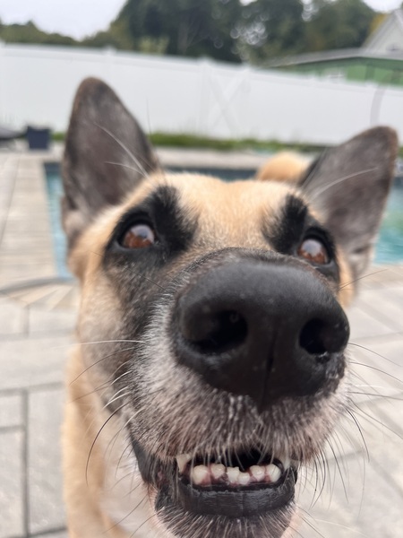 Bruce