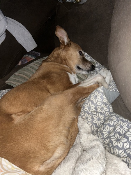 Molly