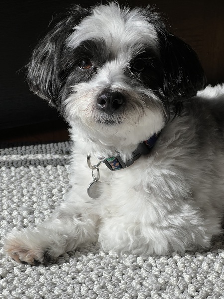 Murphy