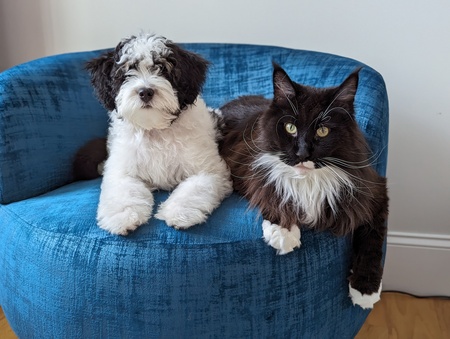 Jaxon & Neo